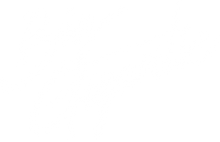 Big Gigantic | Official Merch Store